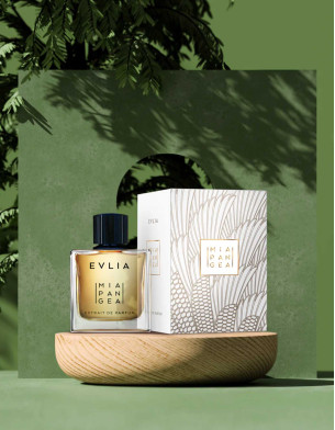 Evlia Xdp